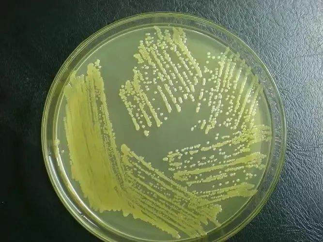 1659088876112792.jpg 640 (1).jpg