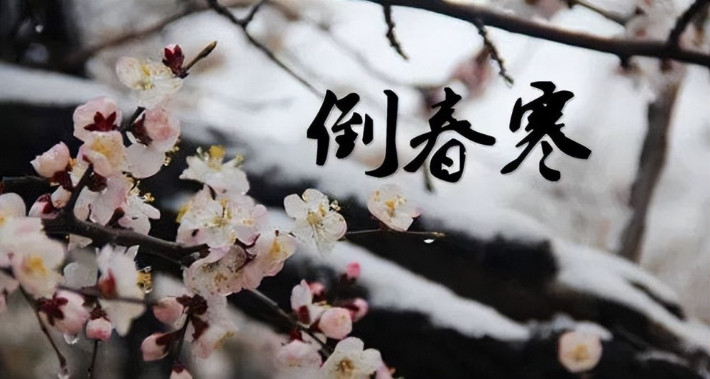 图片1-1.png