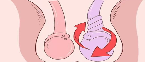 7f7a8f47ac5b44df85a2ed2071e12a94.png